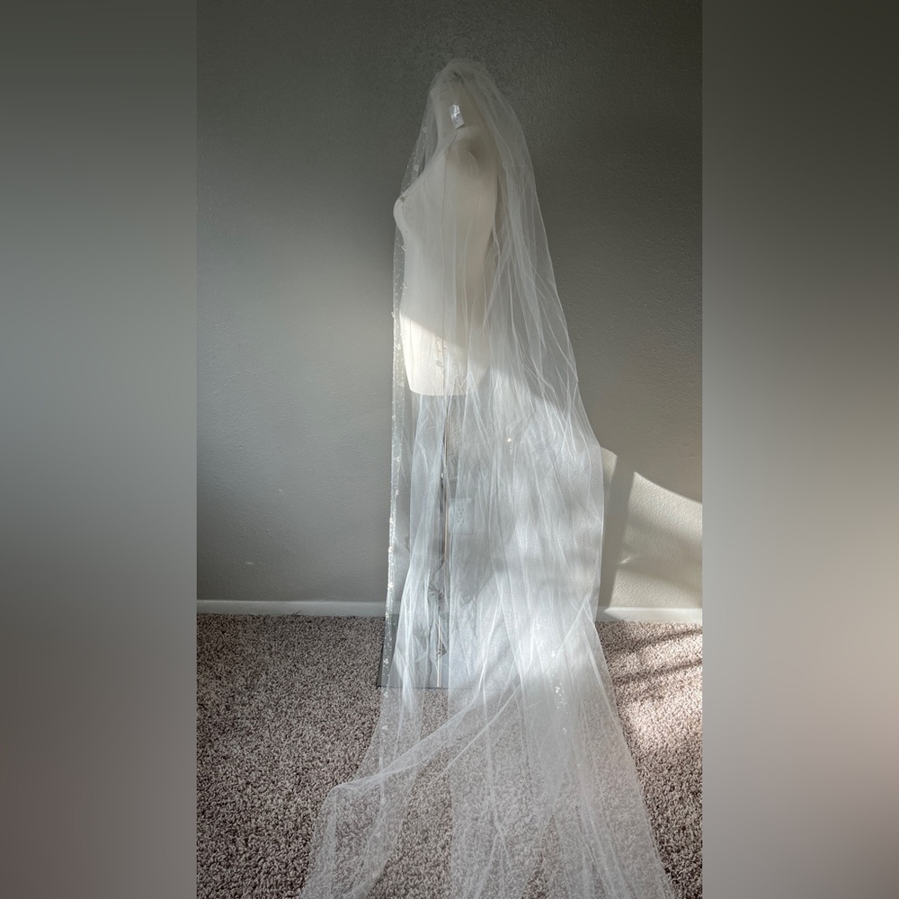 117-120 Veil by Erica Koesler